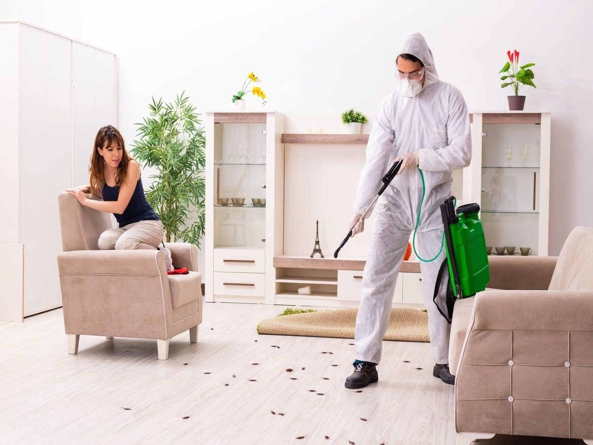 Choose Hybrid Pest Control Service for My Home