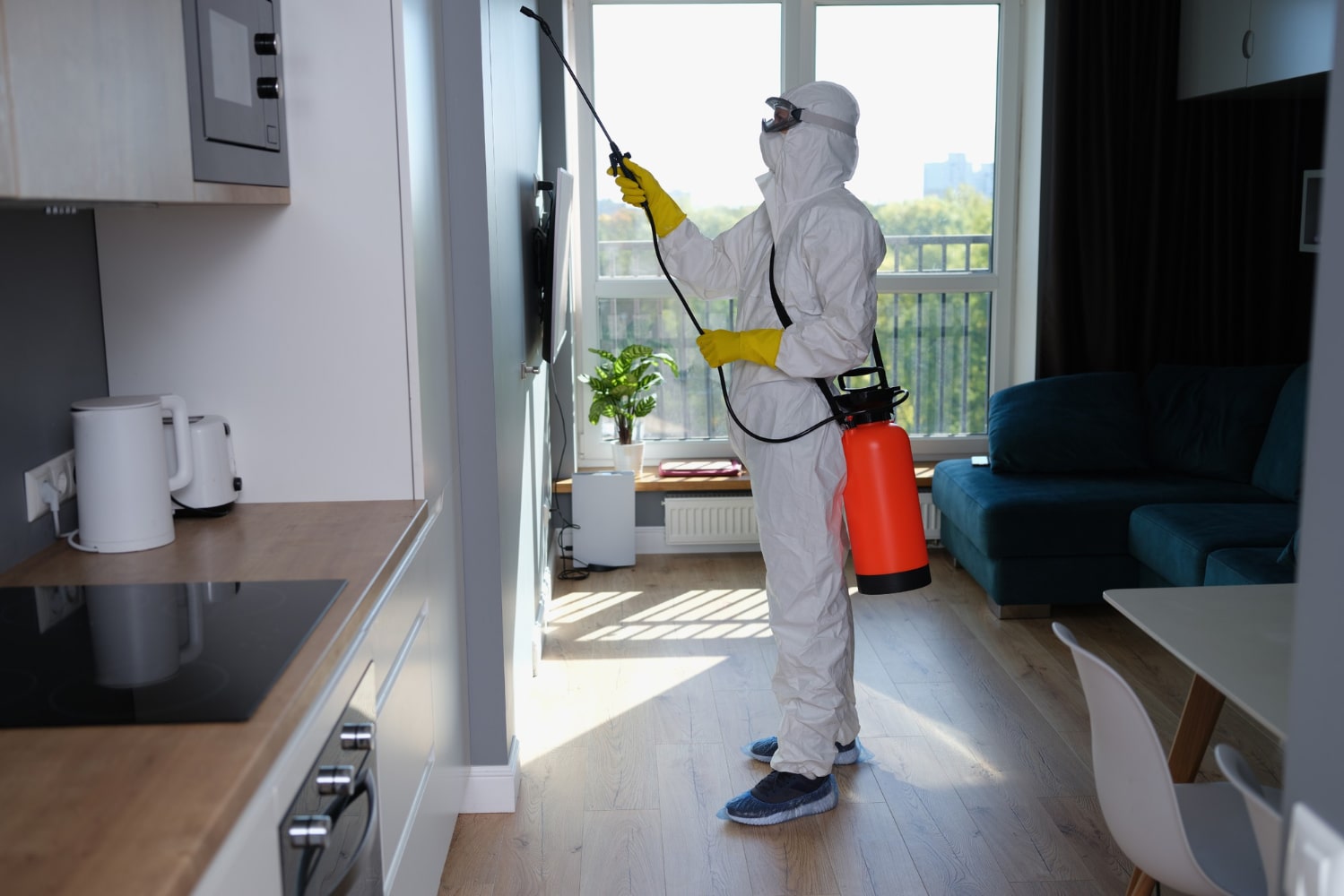 Why Do You Need to Protect Your Home from Pests Infestation? - Life After  Bugs