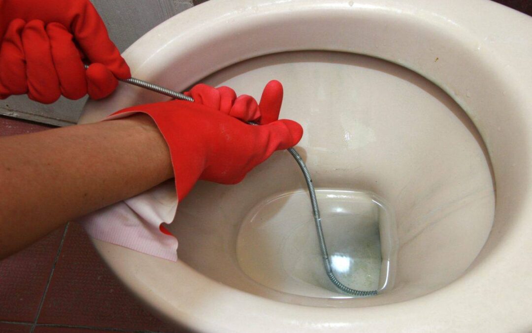 Como Desentupir Vaso Sanitário Com Fezes